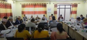 सरकारद्वारा निजामती सेवा विधेयक टुंग्याउन एक हप्ताको समय माग